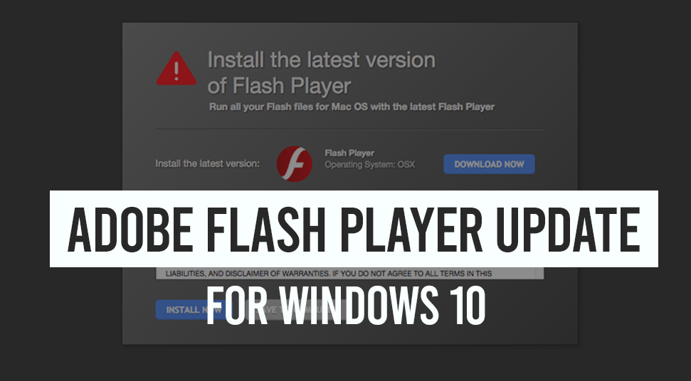 update flash player windows 10